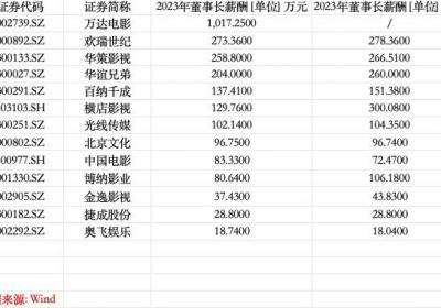 影视公司高管薪酬差异显著：万达董事长年入过千万，多数降薪