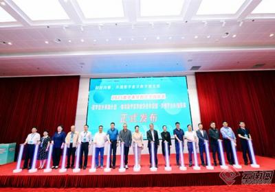 “2025数字备灾救灾支持体系”在昆明发布
