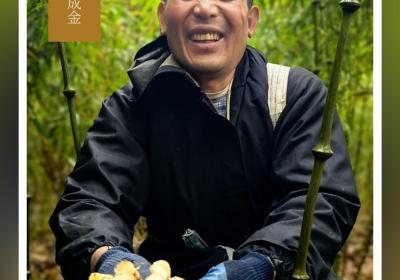 点“竹”成金！丨在云南样样好