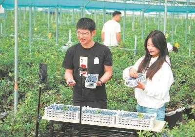 特色种植 促民增收