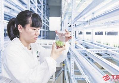 科技创新驱动智能育苗