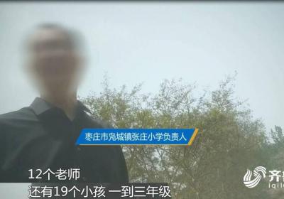 问政山东 | 乡村小学出现“独苗班”“袖珍班” 农村教育资源如何优化布局？枣庄市：积极稳妥制定合并方案