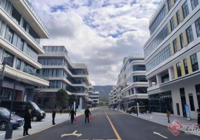 【跨区协奏 双核共振】云南 上海=区域协同最佳“CP”