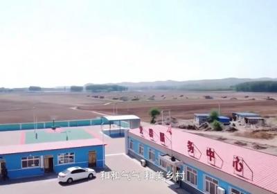 中央媒体看辽宁丨新华社点赞辽宁朝阳这位村书记：“新农人”绽放梦想！