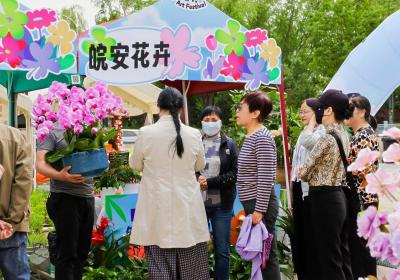 五一休闲好去处 来北京西城这里享“花”样时光
