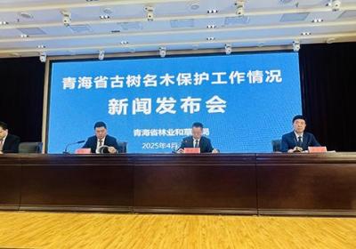 青海五维发力 擘画古树名木高水平保护新蓝图
