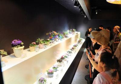 5月2日，北京市属公园迎客80万人次