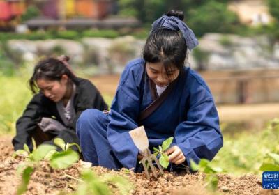 湖南宁乡：勤工游学感受古城文化魅力