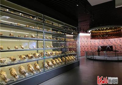 文化中国行 | 行唐县博物馆：车马载我越千年