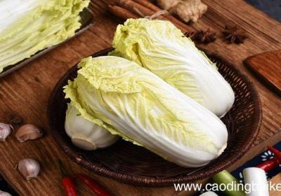 梦见大白菜是什么意思 梦见大白菜有什么预兆