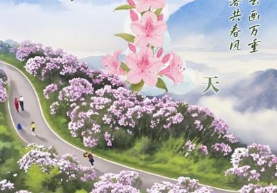 倒计时1天丨杜鹃缀云画万重，阳明邀客共春风