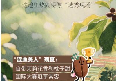 看！云 南 满 山 是 “ 黄 金 ”