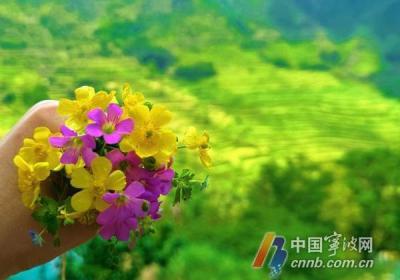 宁波“五一”假期或迎34℃高温 “初夏感”扑面而来