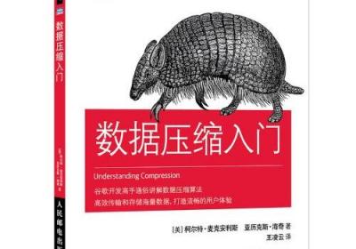 AI的本质：为何它像是一个“压缩机”？