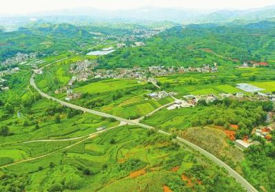 昆明市禄劝县扎实推进绿美公路建设 一路生花一路景