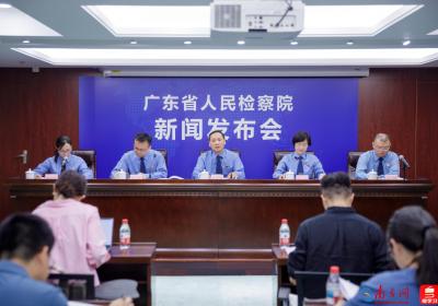广东检察：知识产权侵权呈现向新兴产业和数字经济蔓延的趋势