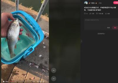 永定河生态修复见成效 市级保护鱼类现身城区河湖
