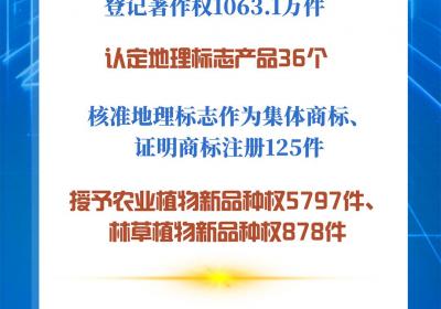 数览2024年知识产权强国建设成绩单