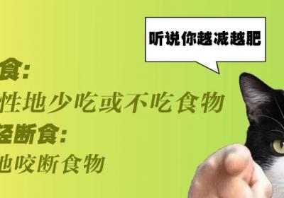 健康呱呱乐｜为什么你总是越减越肥？