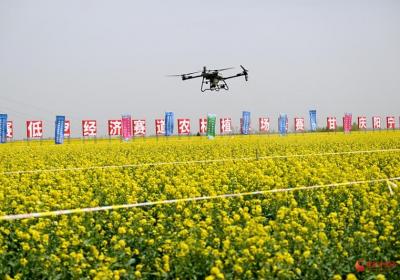 2025数字中国创新大赛·低空经济赛道农林植保场景赛在宁县举行
