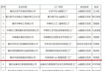 2024年重庆市十大未来工厂揭晓，华森制药荣耀入选