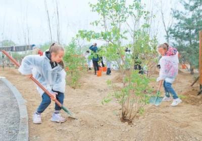 北京国际友好林共植友谊树1.2万余株