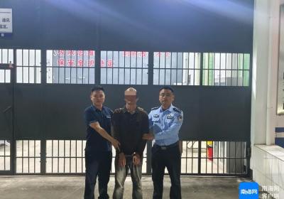 儋州警方查获一起无证驾驶“顶包”案