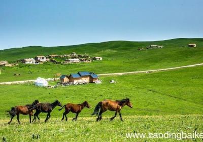 梦见季节变化什么意思 梦见季节变化什么预兆