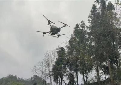 水富：“鲲鹏计划”与企业联手 竹林实现无人机高效施肥