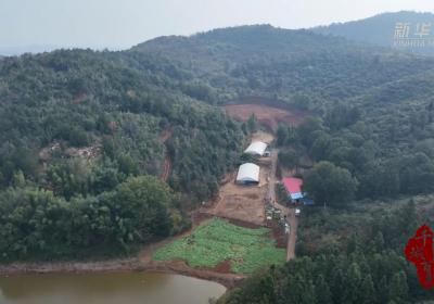 千城百县看中国丨湖南祁阳：智慧生态养殖 “啄”出致富路
