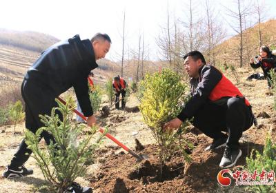 陇拍客|岷县：植树添绿共绘生态画卷