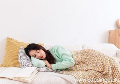 女人梦见仓鼠是什么意思 女人梦见仓鼠有什么预兆
