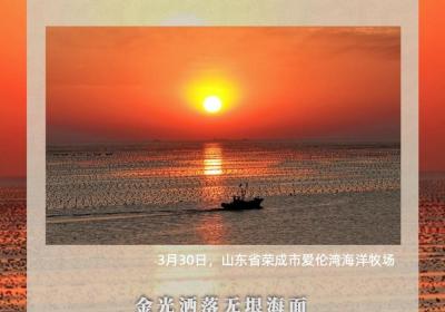 这就是春日的中国！