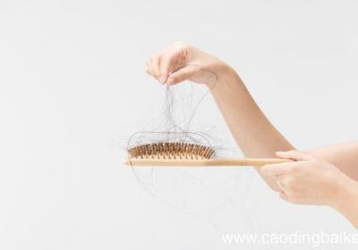 梦见自己的头发掉了是什么意思 梦见自己的头发掉了有什么预兆