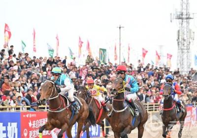 最高奖金10万元！大理“三月街”民族节赛马大会激情开赛