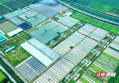 “何”以自然丨 汛旱并防 湖南将上演耕地置换“变形记”