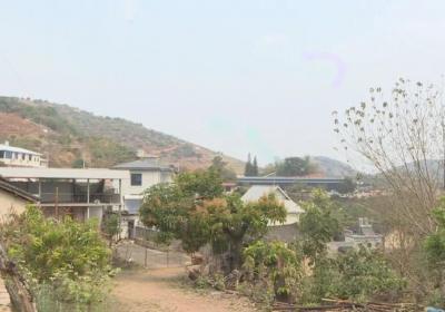 保山隆阳区：多元路径促增收 点燃村集体经济“新引擎”
