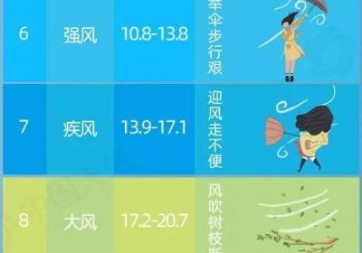 警惕大风天气，这份防“风险”指南请收好