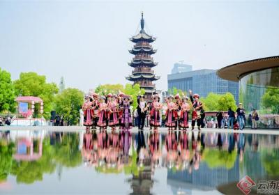 2025年“康养旅居在屏边”上海市宣传推介活动举办