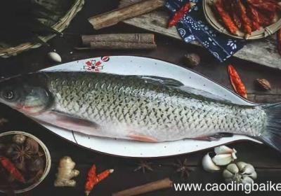 梦见自己钓到大鱼是什么意思 梦见自己钓到大鱼有什么预兆