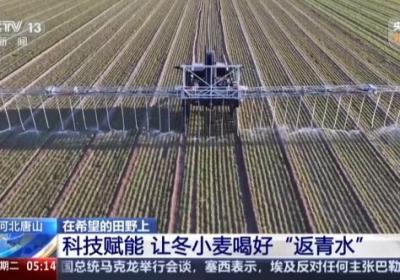 在希望的田野上 河北唐山 科技赋能 让冬小麦喝好“返青水”