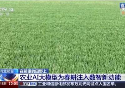 在希望的田野上 河北邢台 农业AI大模型为春耕注入数智新动能