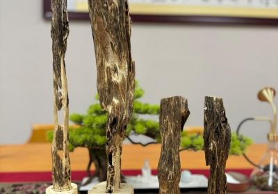 带动消费超70万元！儋州这场球赛生动诠释乡村振兴喜人成果