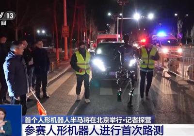 这场半马没有人类冠军 “神秘跑团”正在备赛