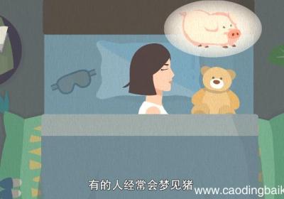 梦见猪是什么意思