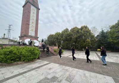 农发行贵州分行播州区支行举办主题党日活动 弘扬红色精神