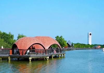 逛消博游海口 “旅游 免税”系列优惠福利活动来了