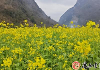 清明时节防病养生 专家支招这样做