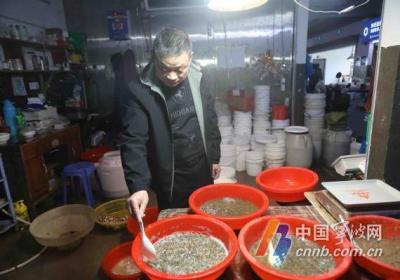宁波人爱吃的"桃花泥螺"上市了！商家：这个季节的最好吃