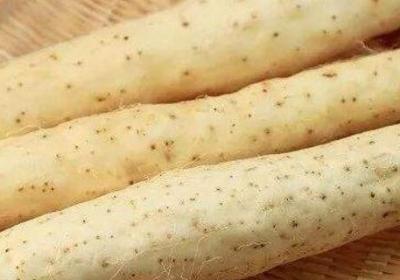 山药可以烤着吃吗